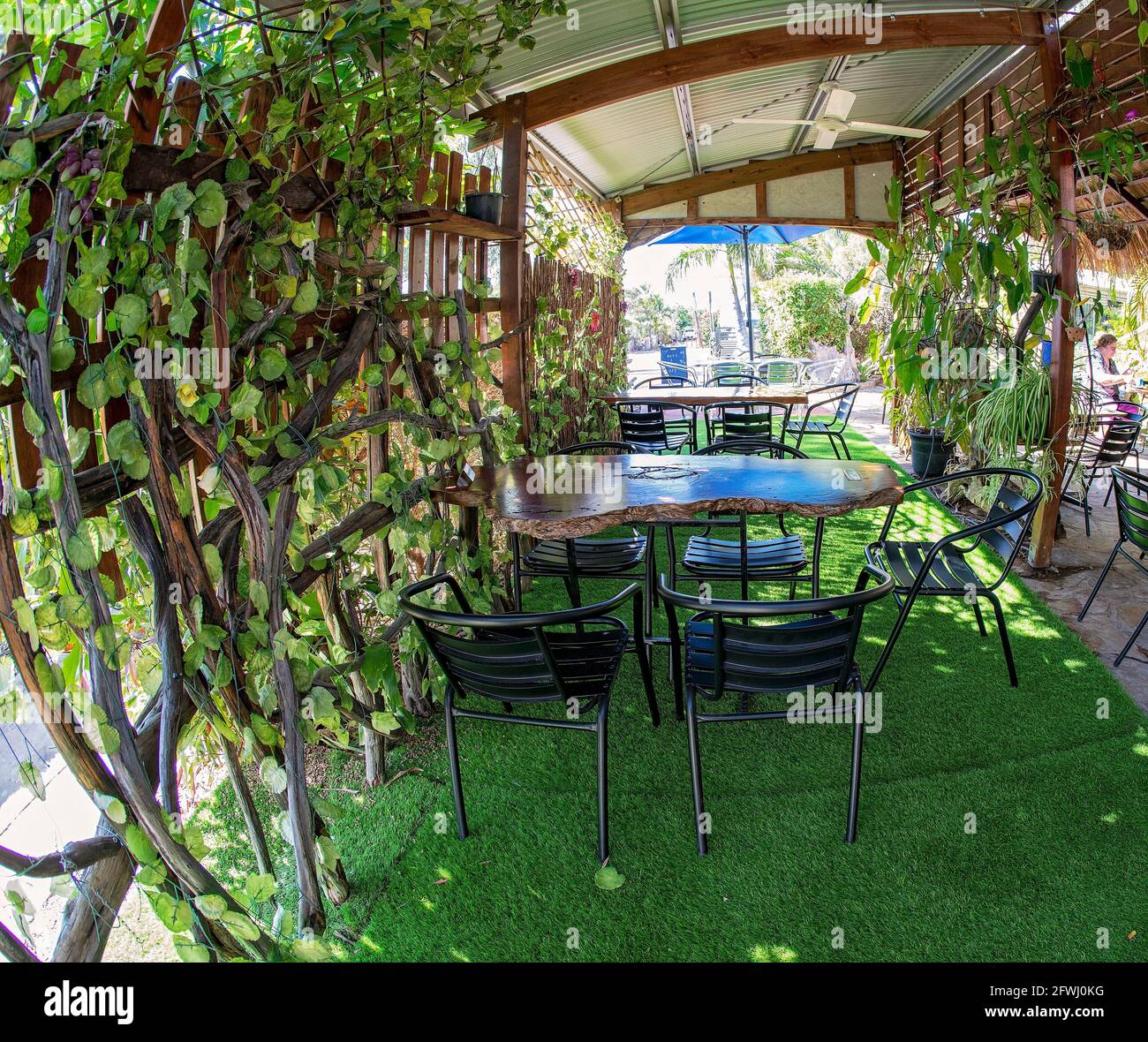 Rubyvale, Queensland, Australia - May 2021: A coffee shop with rough carved timber tables and vine covered trellis, curved with fish eye lens Stock Photo