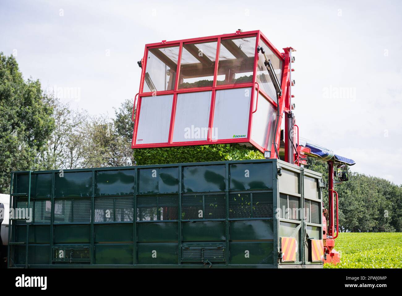 Tea Leave Farm Estate Plantation Plucking Machine At The James Finlay