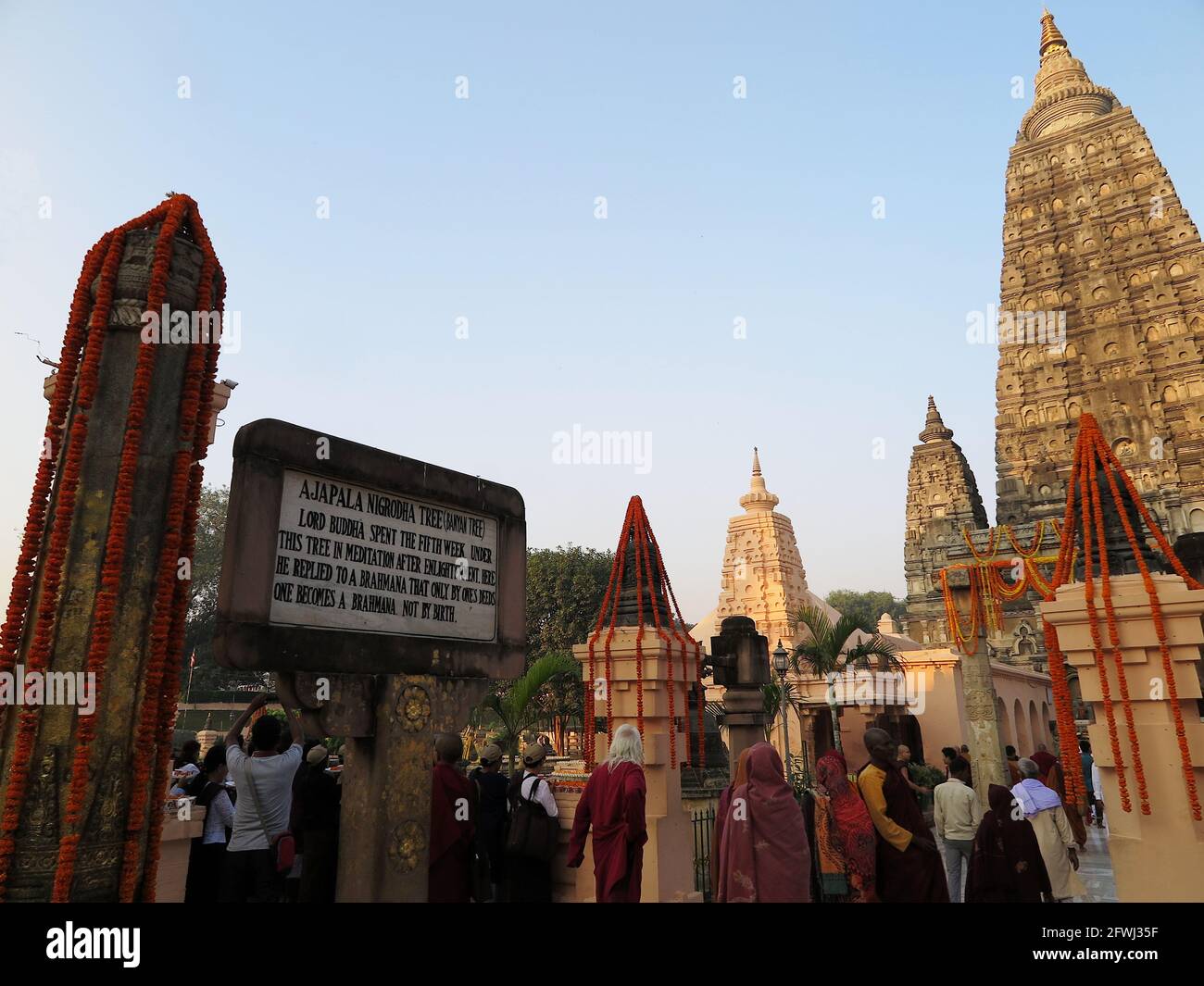 The site of the Ajapala Nigrodha (Banyan) Tree, one of the 7 sacred places in the MahaBodhi Temple complex, Bodhgaya, India, November 2017 Stock Photo