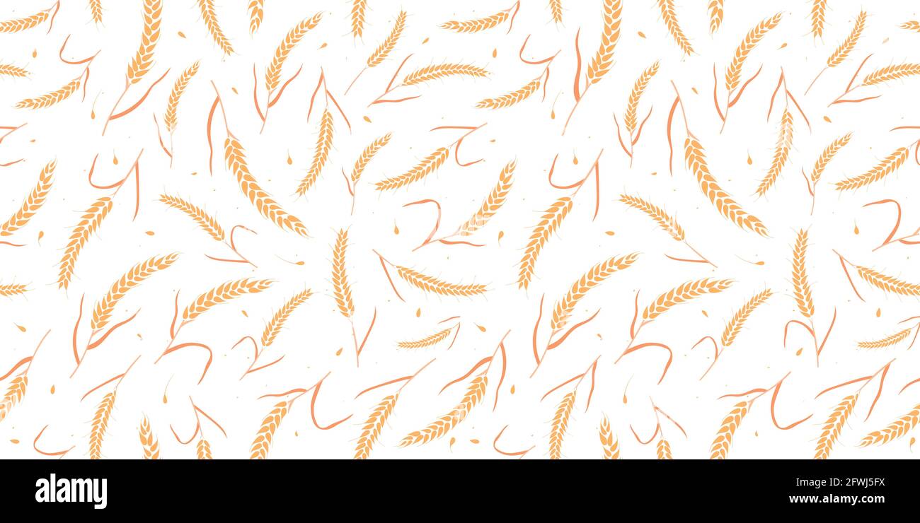 Seamless pattern with whole grain seeds organic, natural ears isolated on white background. Stock Vector