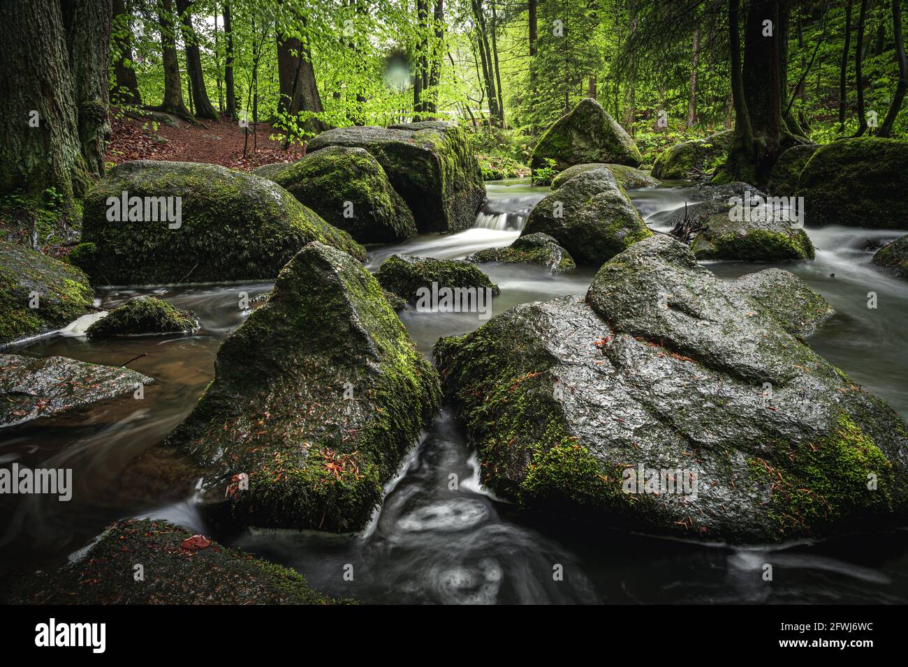 Naturschutzgebiet Höllbachtal im vorderen Bayerischen Wald Stock Photo