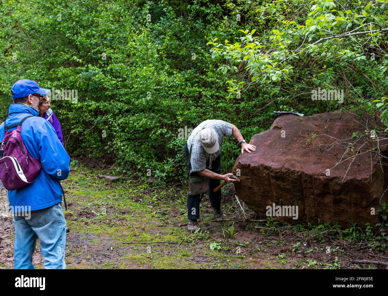 Forest of Dean Pennant stone shows the red iron ore surface staining. Bixslade Geology Walk. Stock Photo