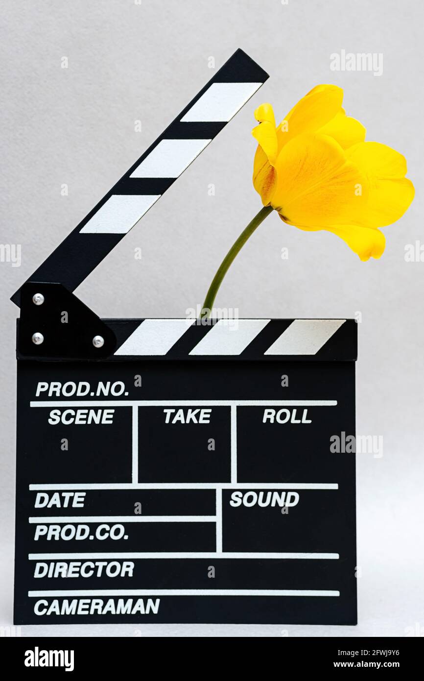 Clapboard from movie with yellow tulip. Minimal still life of clapper board for making video cinema and spring flowers. Stock Photo