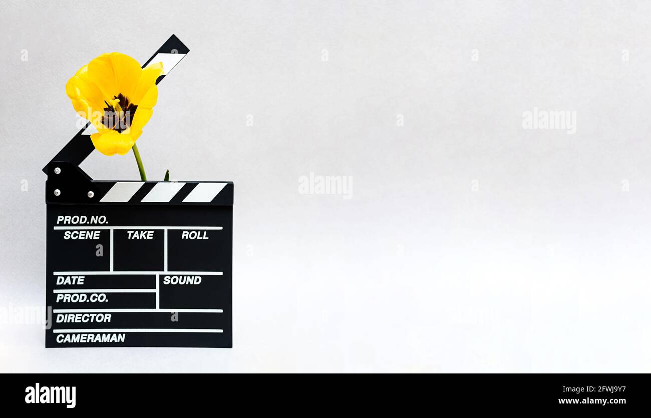 Clapboard from movie with yellow tulip. Minimal still life of clapper board for making video cinema and spring flowers. Stock Photo