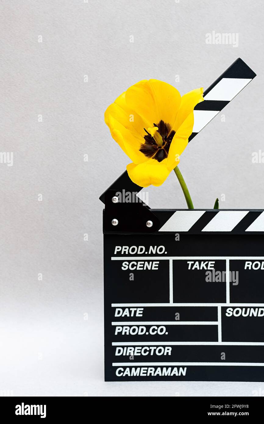 Clapboard from movie with yellow tulip. Minimal still life of clapper board for making video cinema and spring flowers. Stock Photo