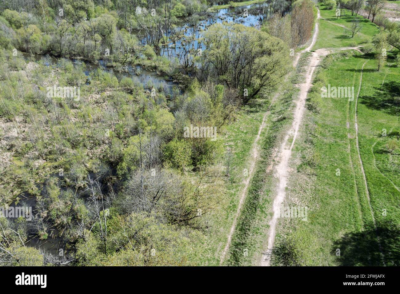 aerial view of a country dirt road weaving between swamp and green field Stock Photo