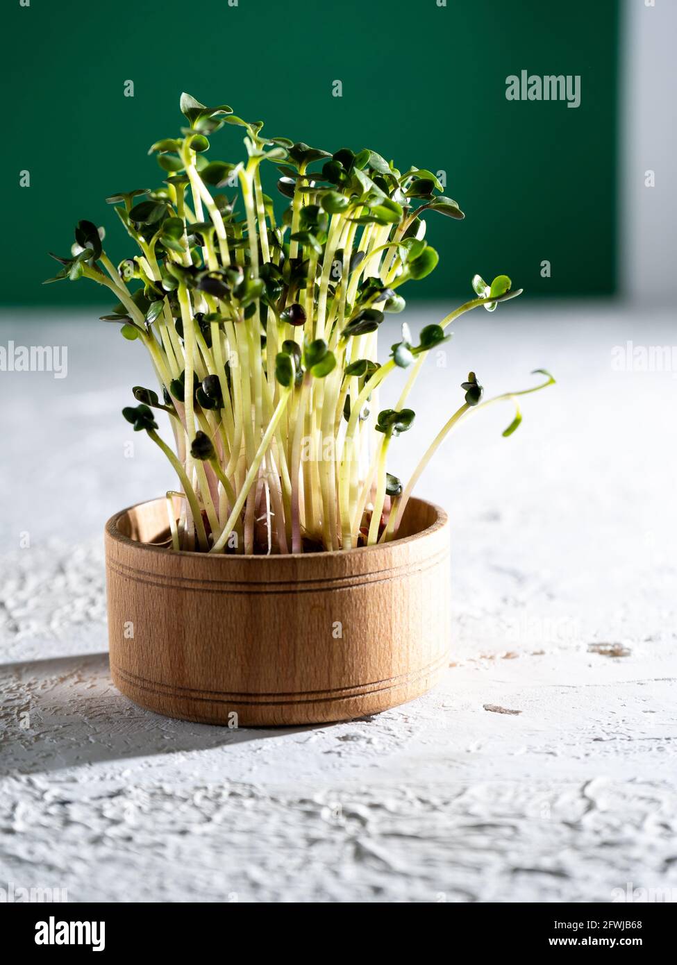 Flax, cabbage, lettuce, radish sprouts in a wooden bowl. Grow