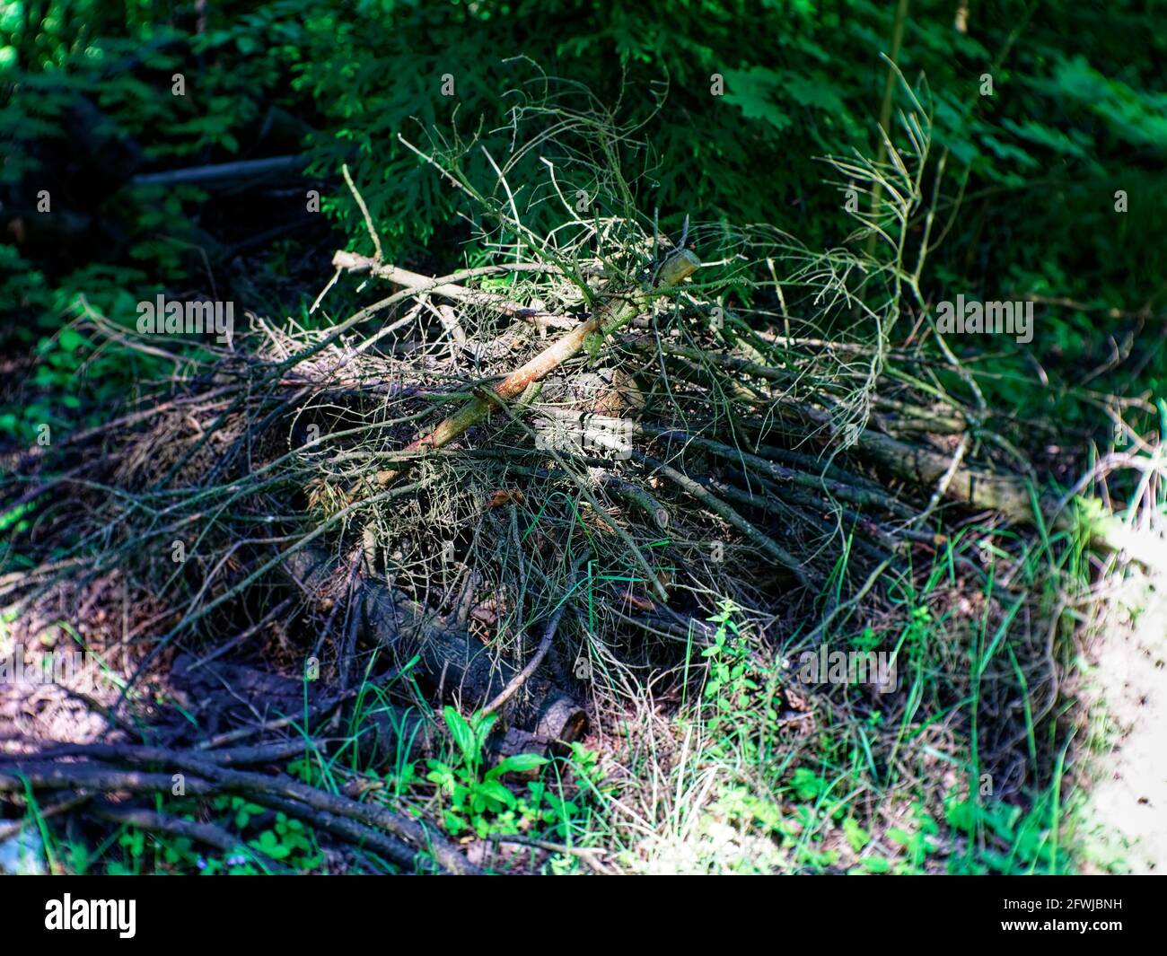 Pile cut brushwood branches hi-res stock photography and images - Alamy