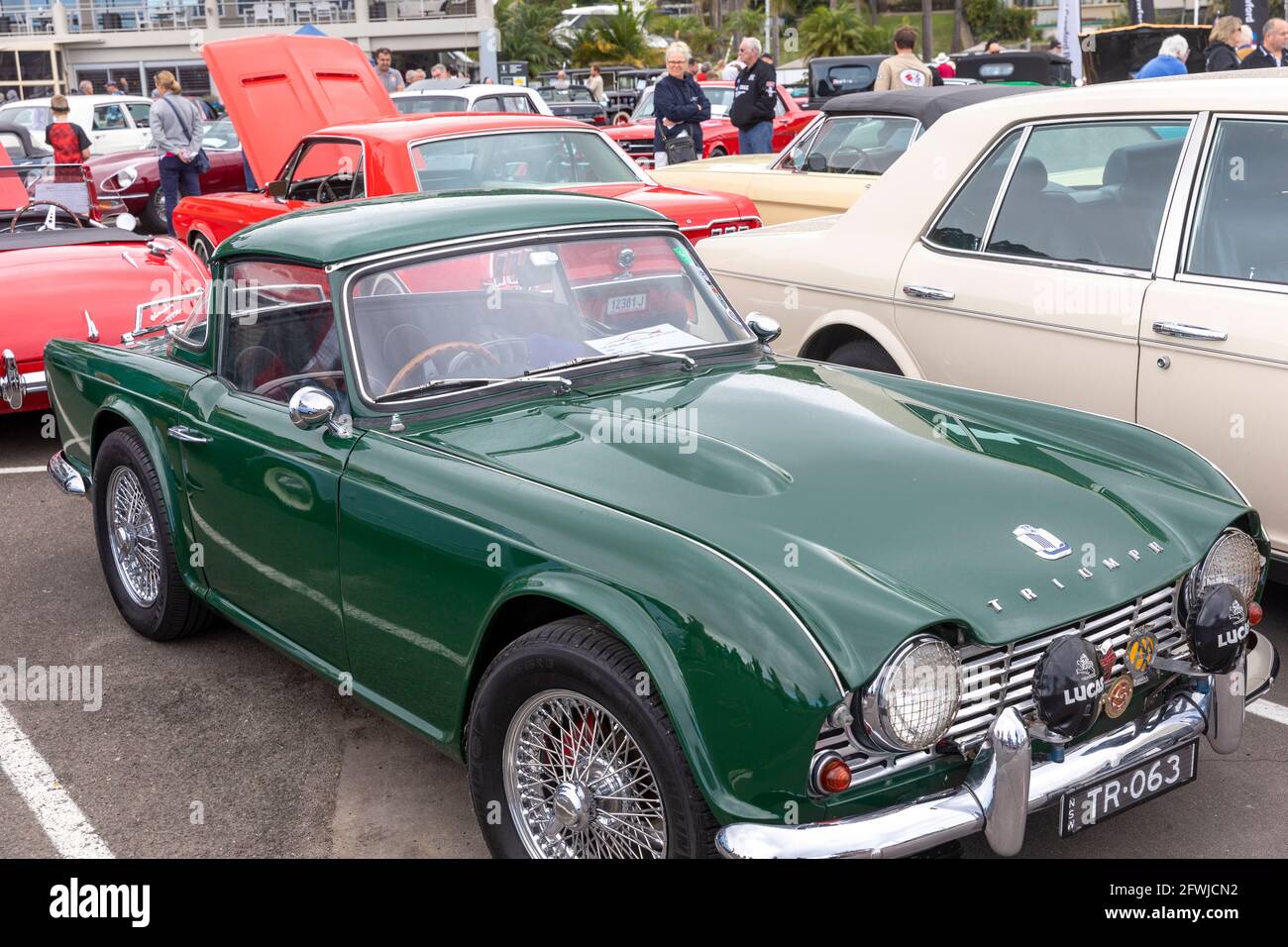 1962/63 Triumph TR4 in british racing green at a Sydney classic car show,Australia in 2021 Stock Photo
