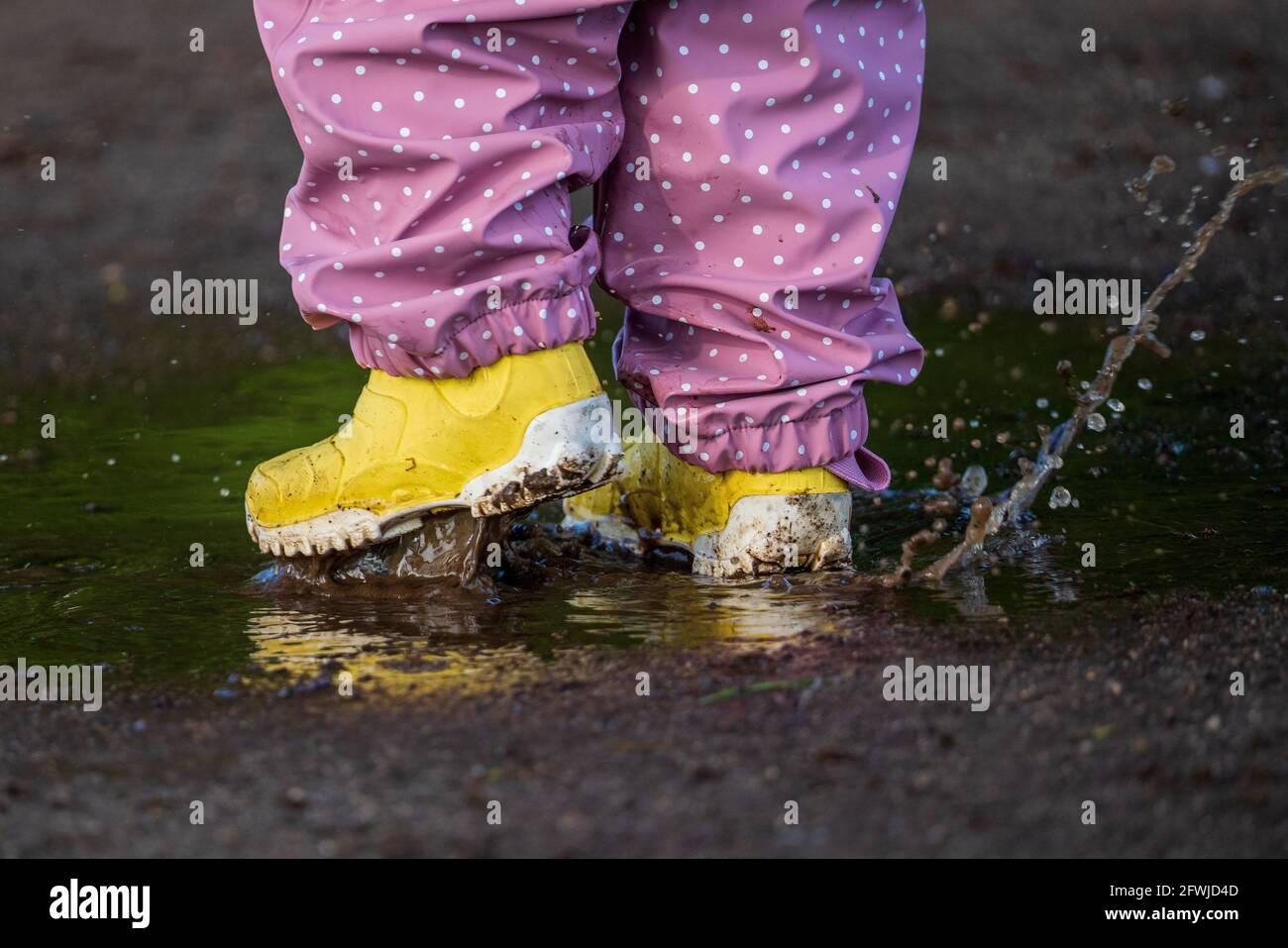 Child in yellow rubber boots splashes in a puddle Stock Photo - Alamy