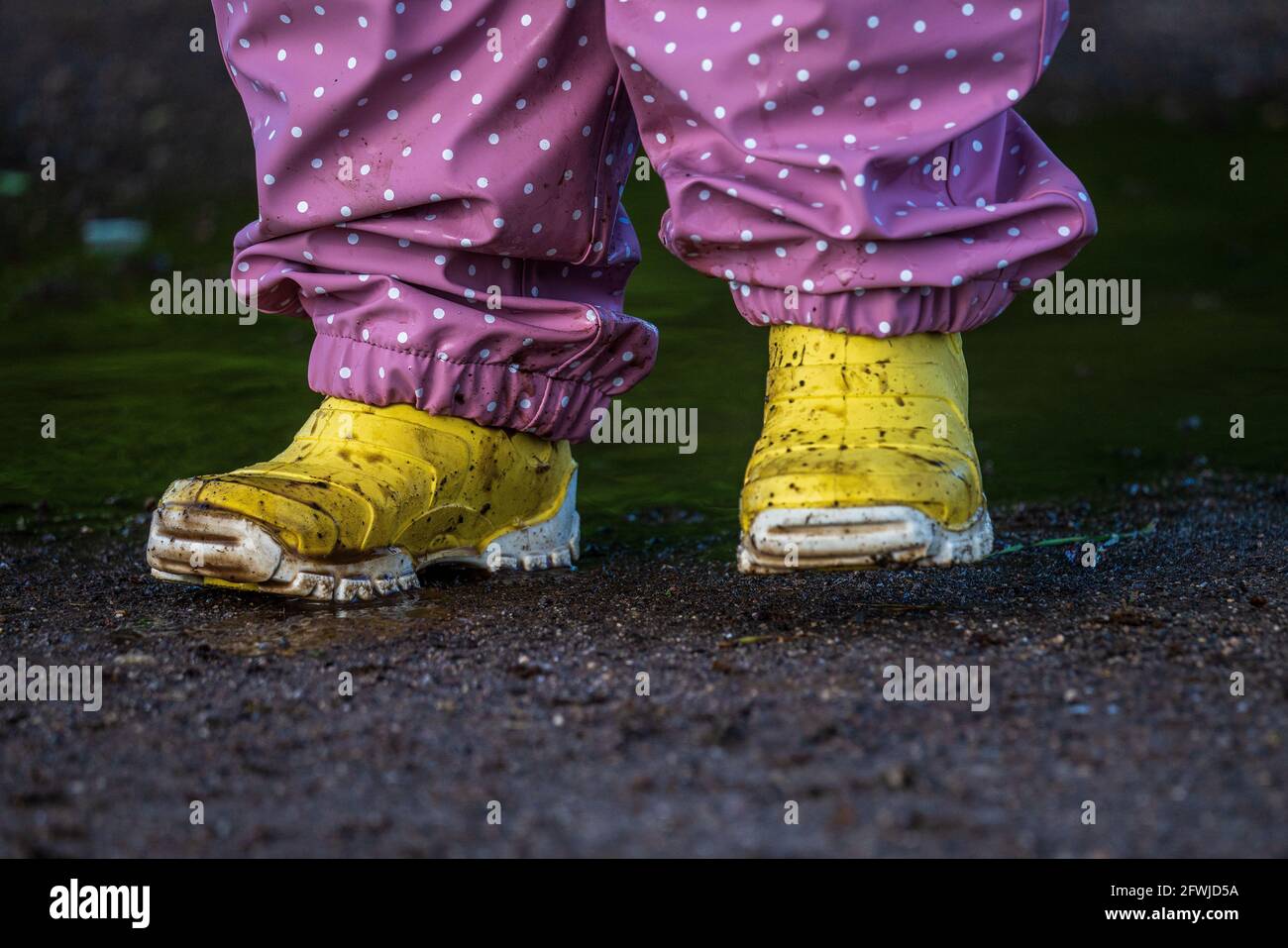 Child in yellow rubber boots splashes in a puddle Stock Photo - Alamy