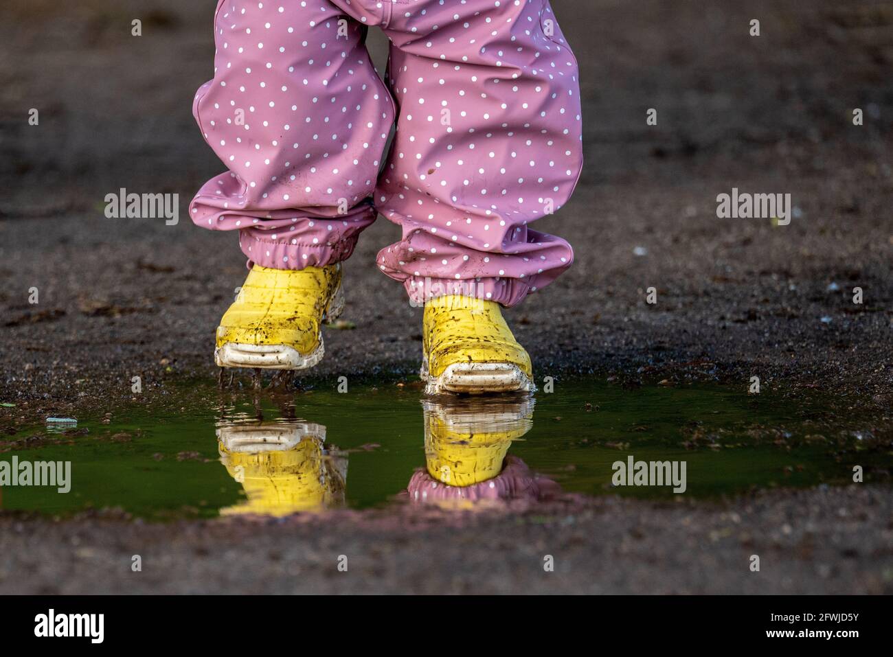 Child in yellow rubber boots splashes in a puddle Stock Photo - Alamy