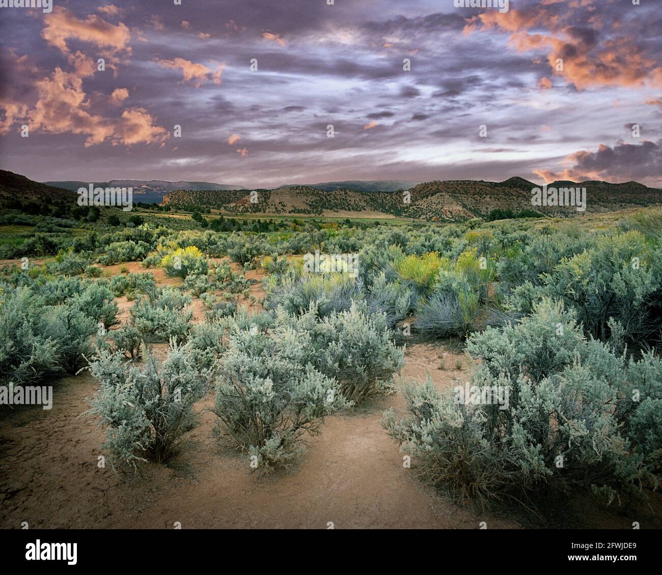 The desert of utah travel photography hires stock photography and images Alamy