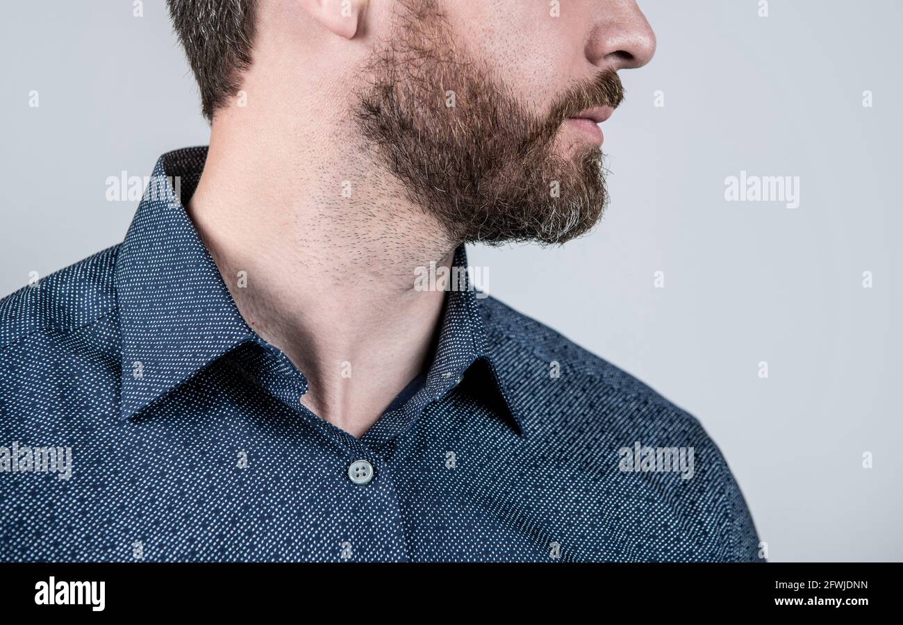 Skin care for a healthy-looking beard. Bearded man cropped view. Mens skin care. Stock Photo