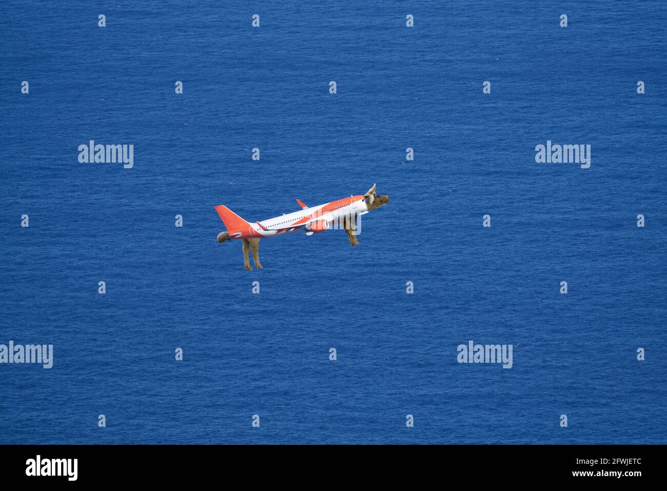 airplane with swine body over the ocean Stock Photo