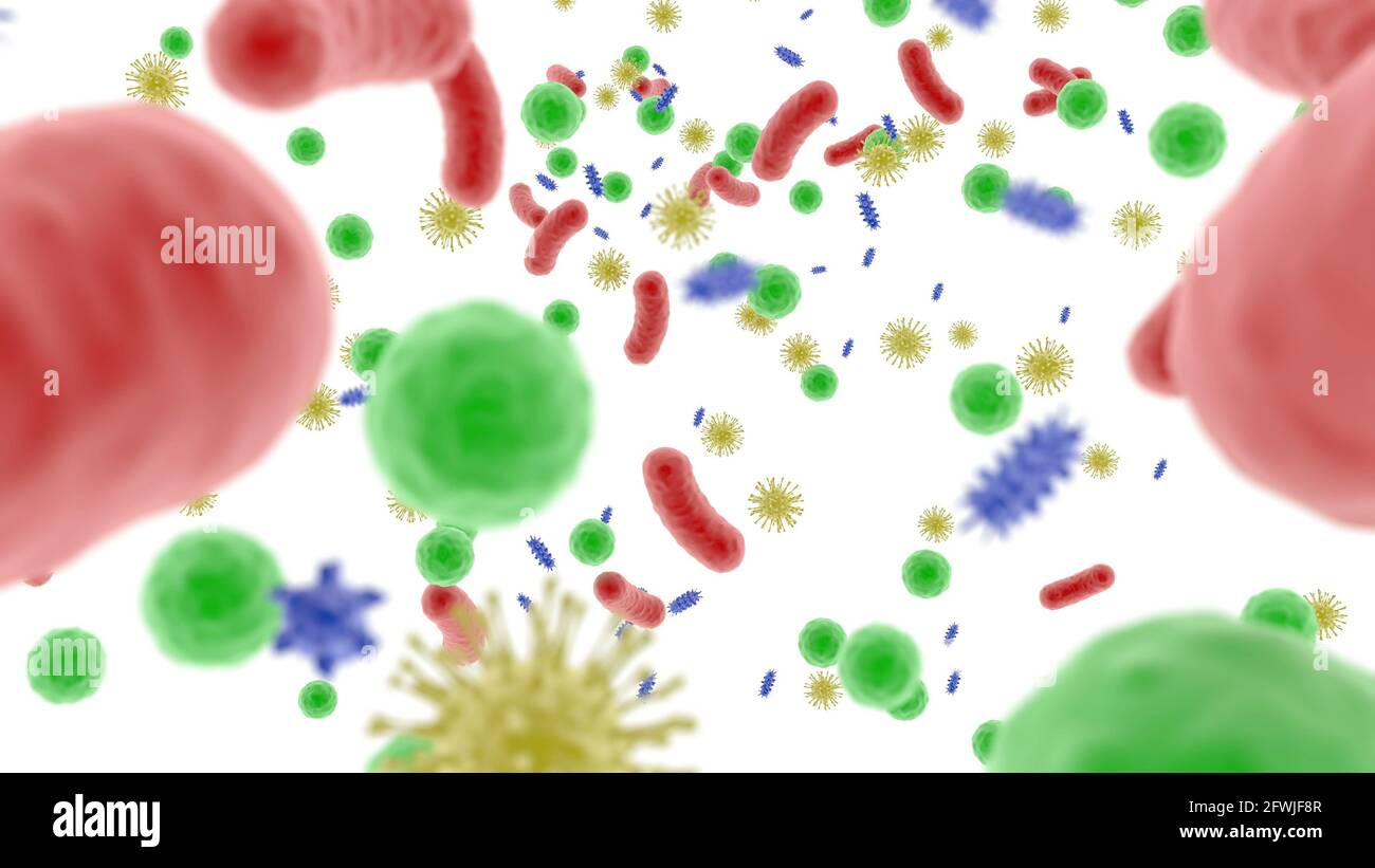 Microbiome body Healthy food Human health microbes in the human gut