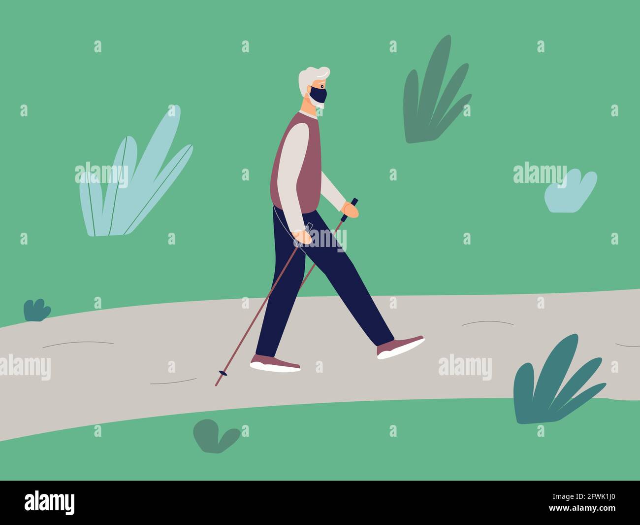 Elderly fit man is engaged in Nordic walking with sticks on path in the park. Old athletic man walk on foot in the open air Stock Vector
