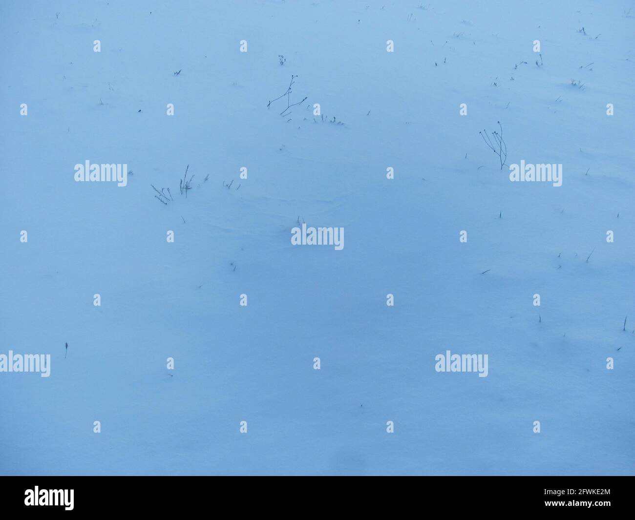 pure white snow: abstract background Stock Photo
