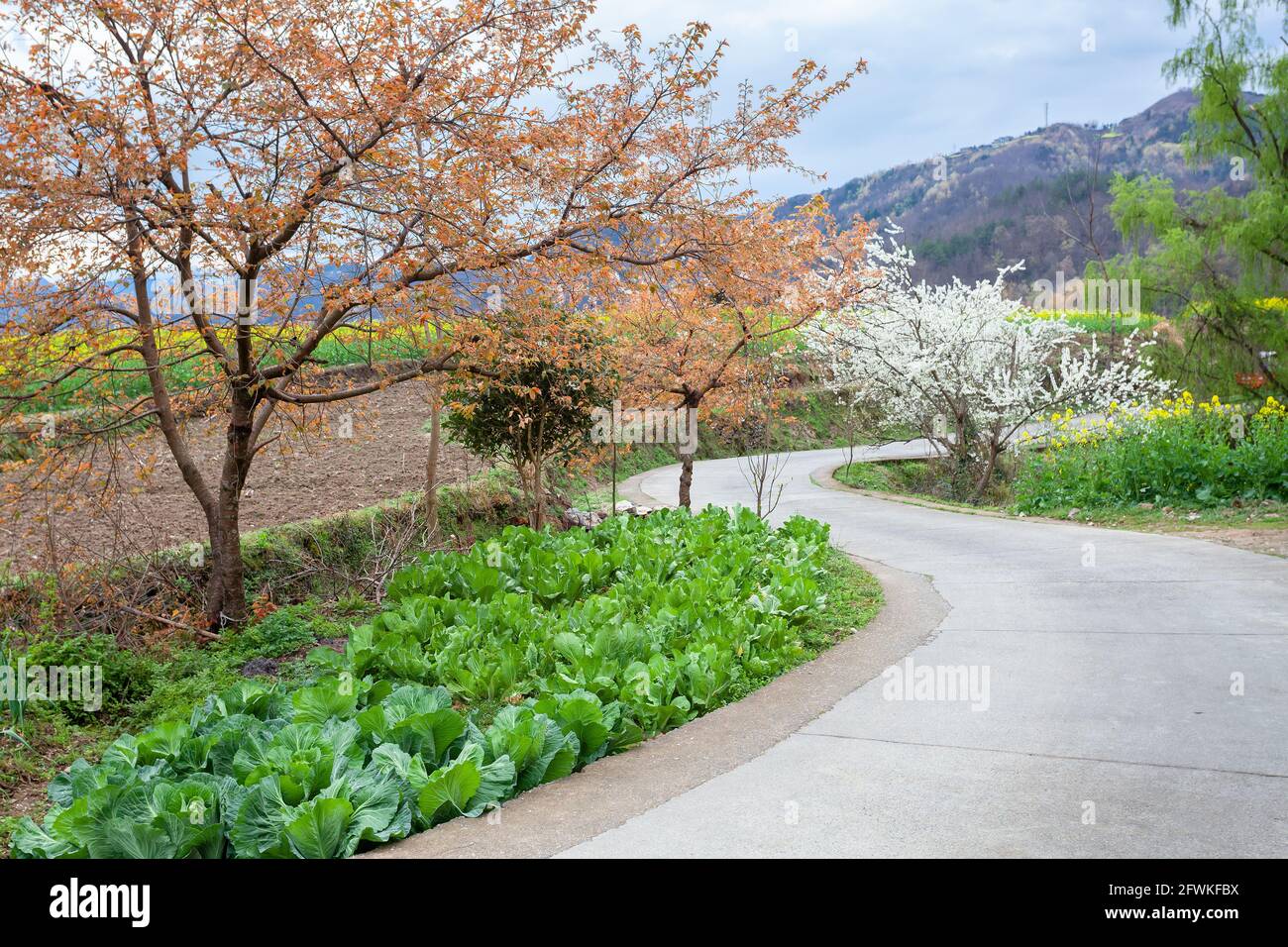 Shaanxi hanyin county rural scenery Stock Photo Alamy