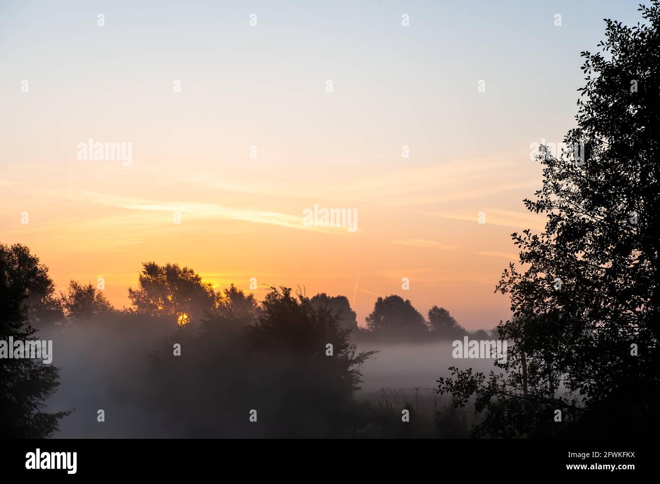Early morning summer sunrise with mist and trees close to water, river with reflections in calm, beautiful river English landscape Stock Photo