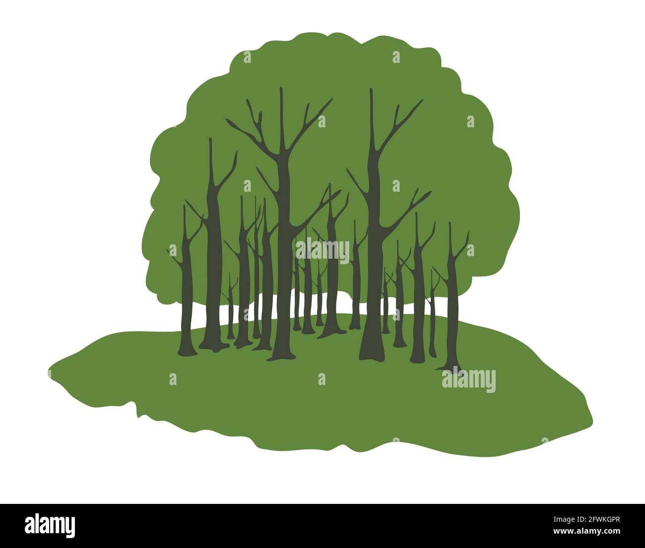Forest trees vector illustration on white background Stock Vector Image