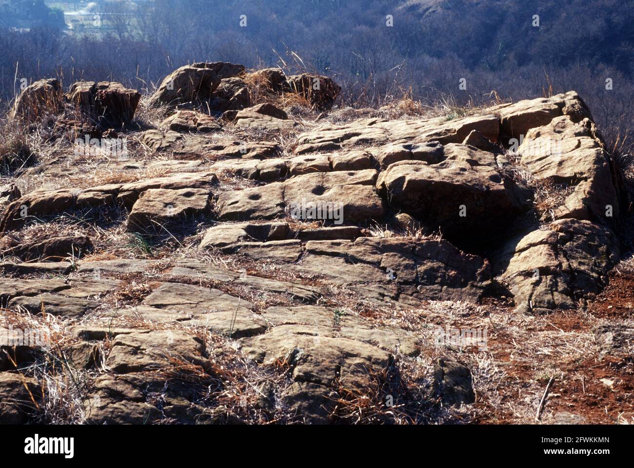 Coppelle neolitiche al monte Musiné in val di Susa, Piedmont, Italia Stock Photo