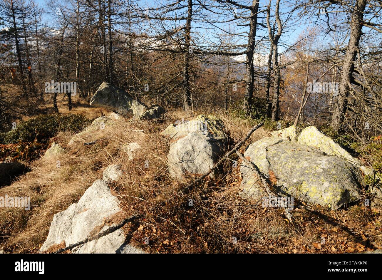 Masso a forma d'uccello in Val di Susa Stock Photo