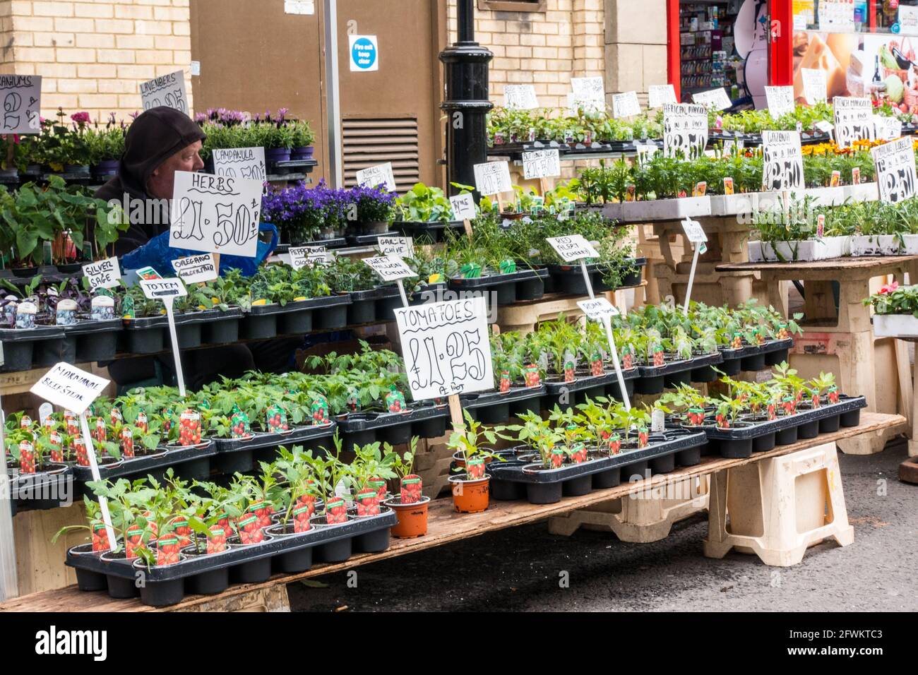 Plant sale hi-res stock photography and images - Alamy