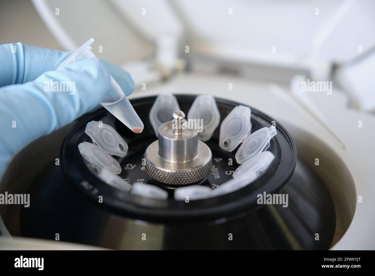Close up of a researcher hand with glove holding a small eppendorf tube with a pellet over a mini centrifuge in a laboratory. Minispin full of tubes. Stock Photo