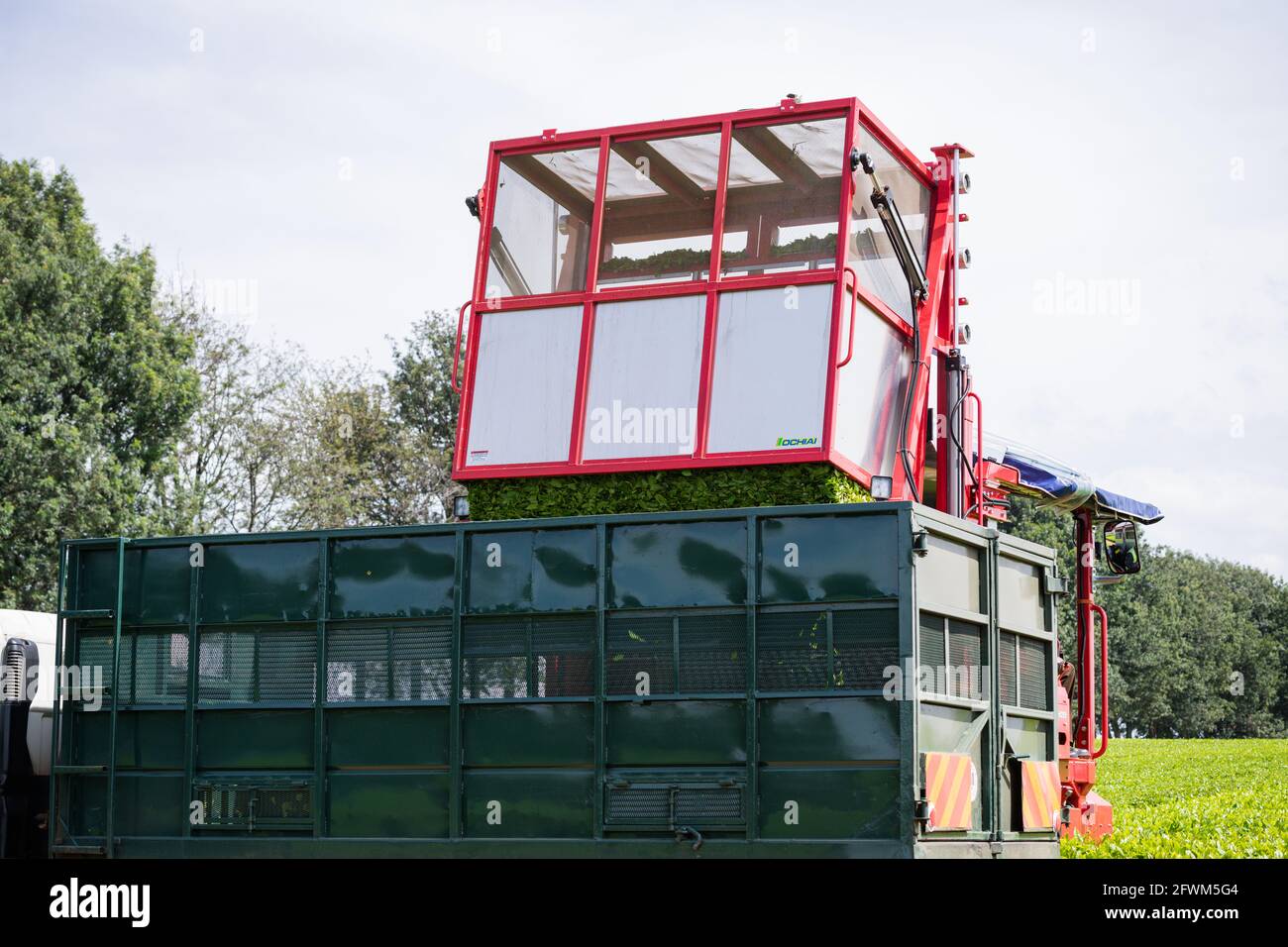 James finlay tea kericho hires stock photography and images Alamy