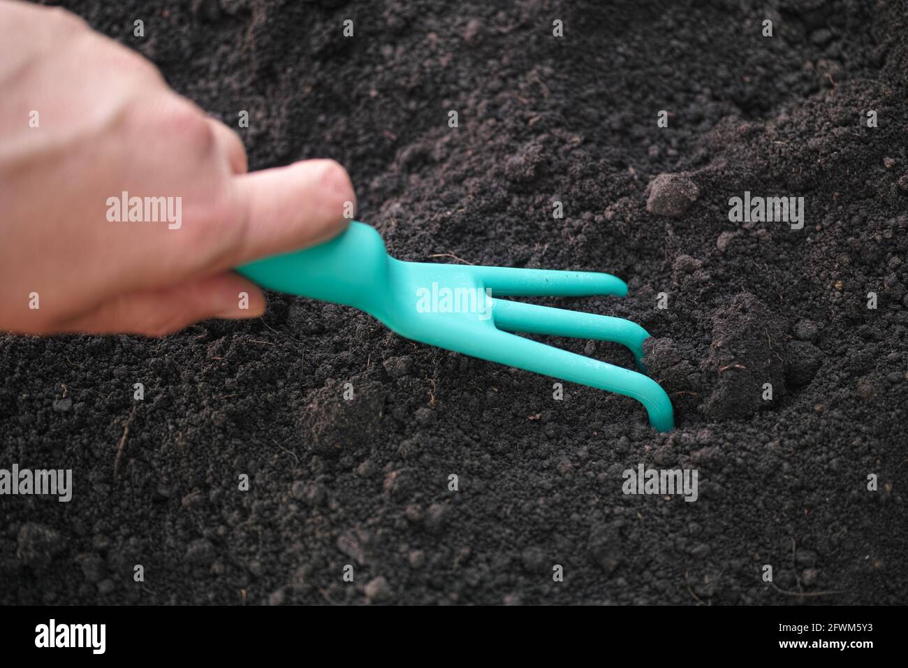 A person preparing soil using a handled claw cultivator. Close up. Stock Photo
