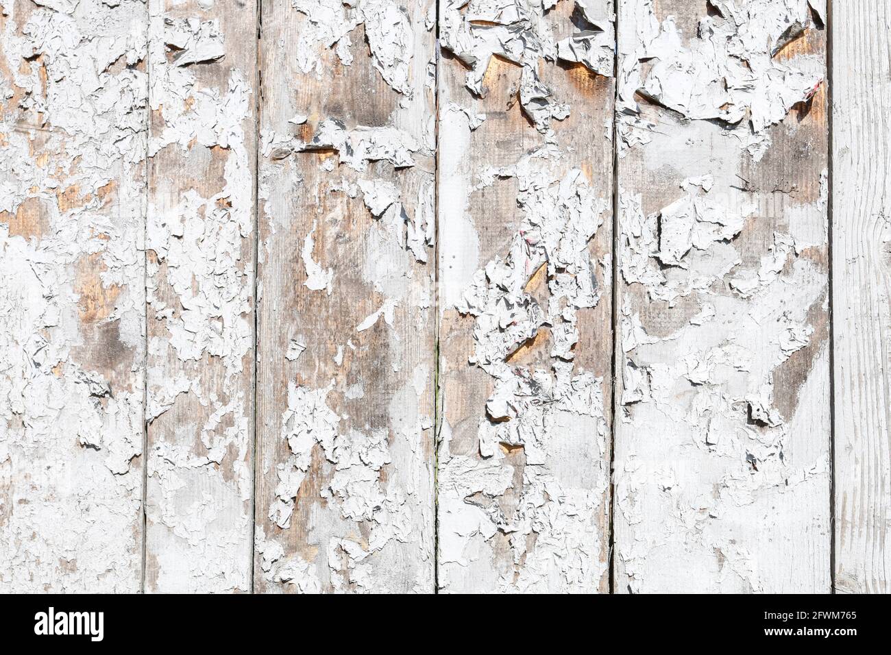 White wooden background. Graphic resources Stock Photo