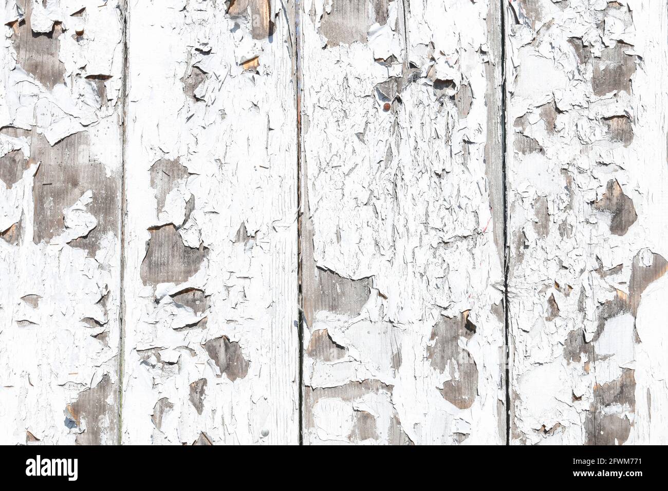 White wooden background. Graphic resources Stock Photo