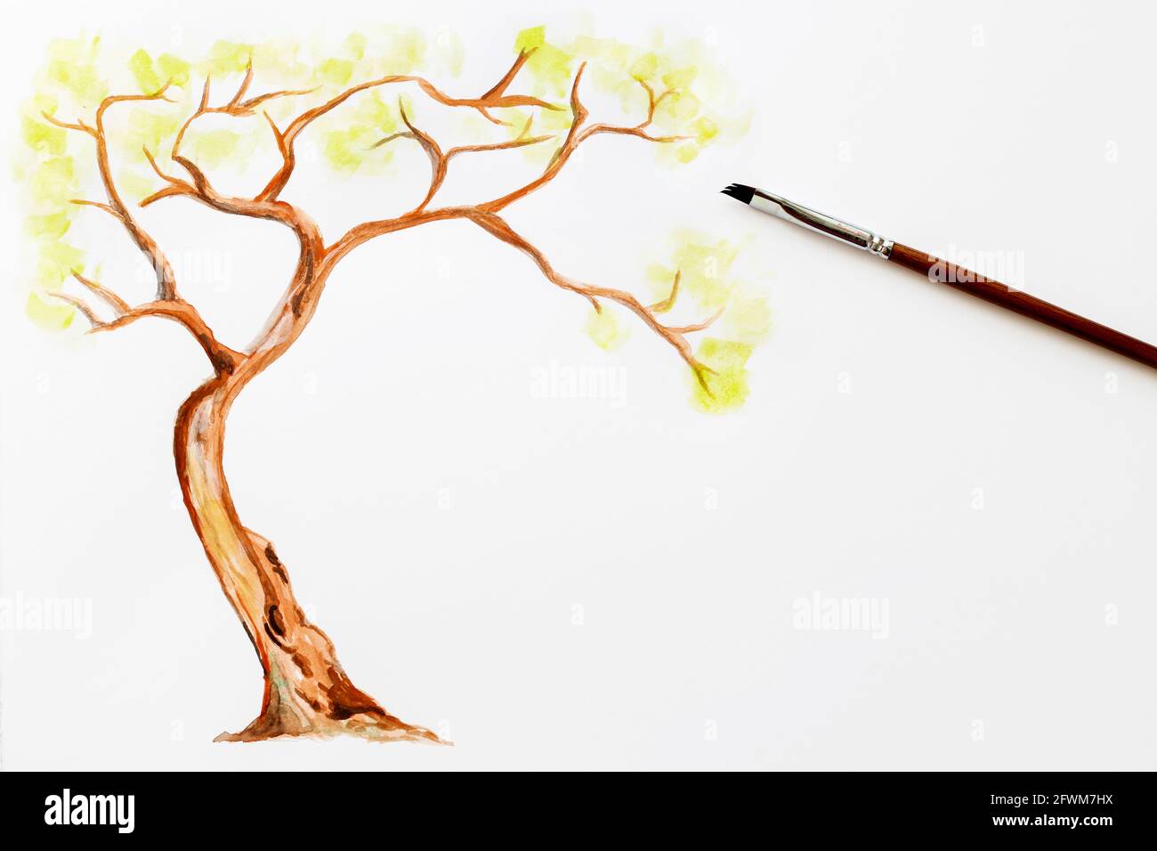 How to paint a tree using watercolours. Step by step, tutorial. Step