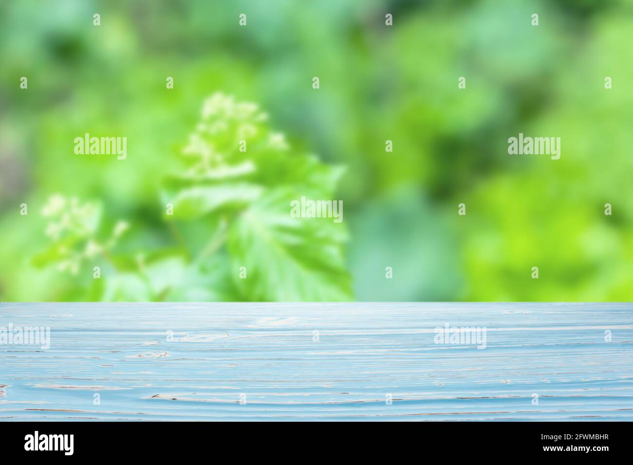 Blue wood table top on blur green bush background Stock Photo