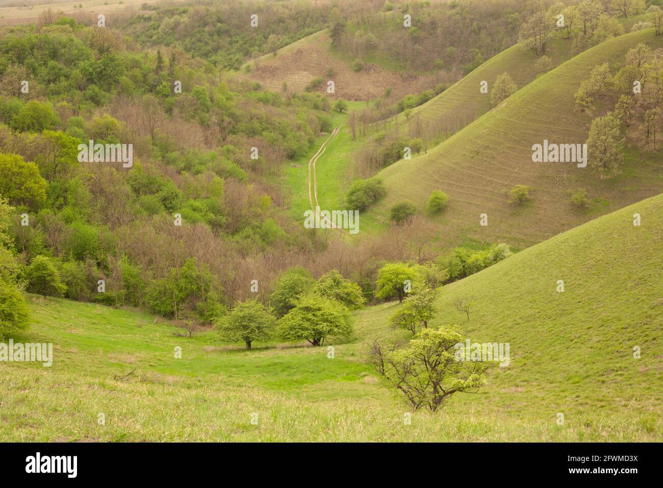 Rolling hills in Tuscany on a sunny day with dramatic clouds Stock Photo -  Alamy