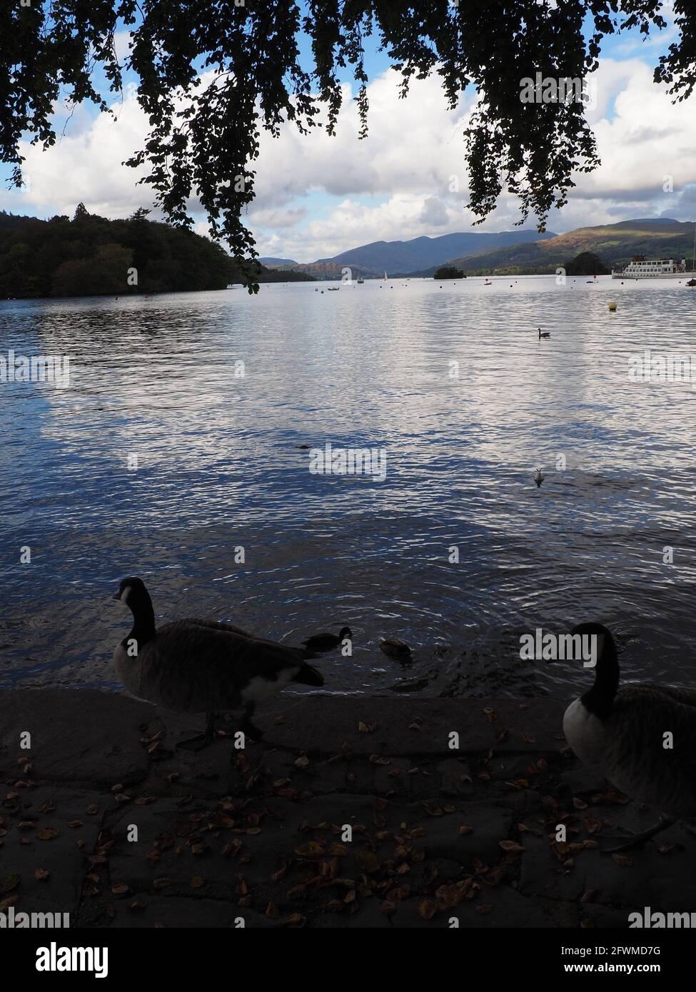 ' BOWNESS-ON- WINDERMERE ' , ' LAKE DISTRICT ' , ' UK ' , ' LANDSCAPE ' Stock Photo