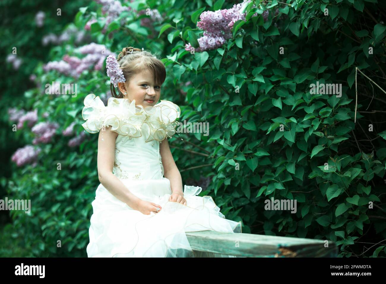 Portrait of a little girl in an elegant dress outdoor Stock Photo - Alamy