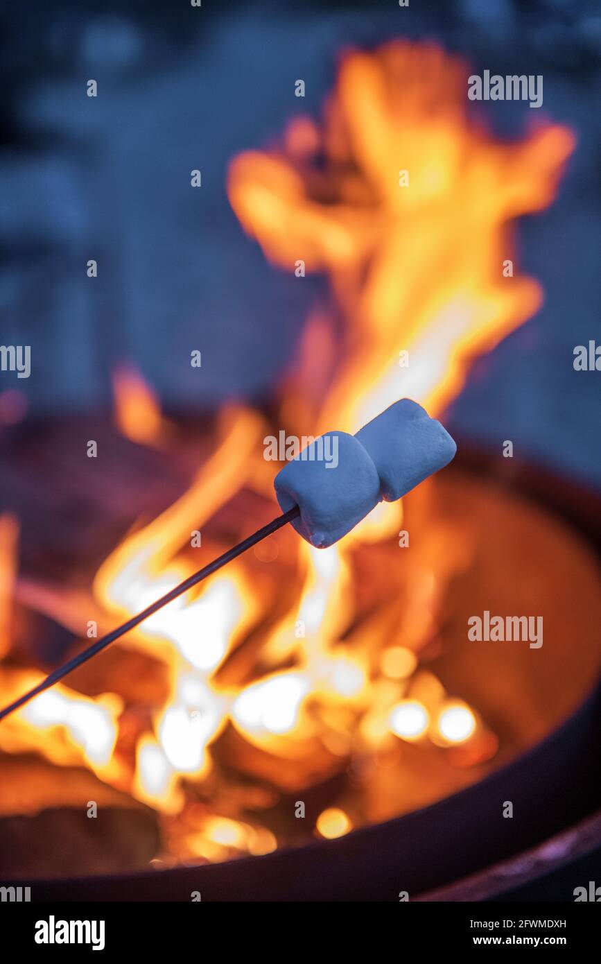 Roasting marshmallows at the fire pit while camping Stock Photo Alamy