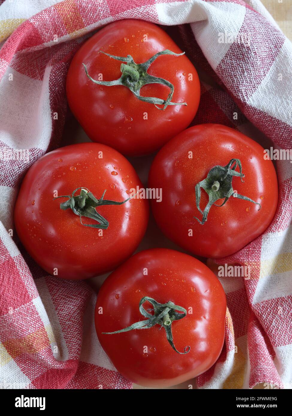 Four fresh ripe eco bio natural organic tomatoes top view close up with linen cloth. Stock Photo