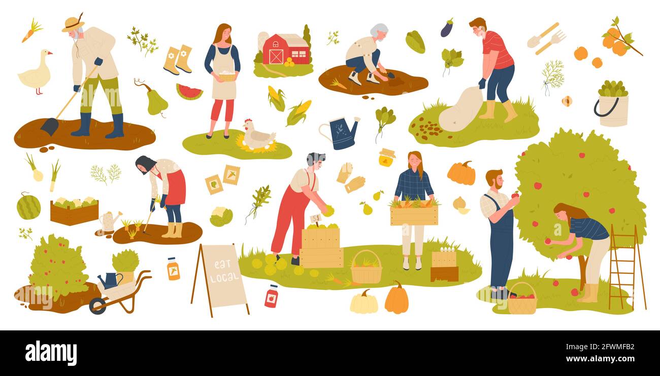 Farmer people work in farm garden vector illustration set. Cartoon man woman gardener characters working on agriculture local production of harvest fruits and vegetables, farming isolated on white Stock Vector