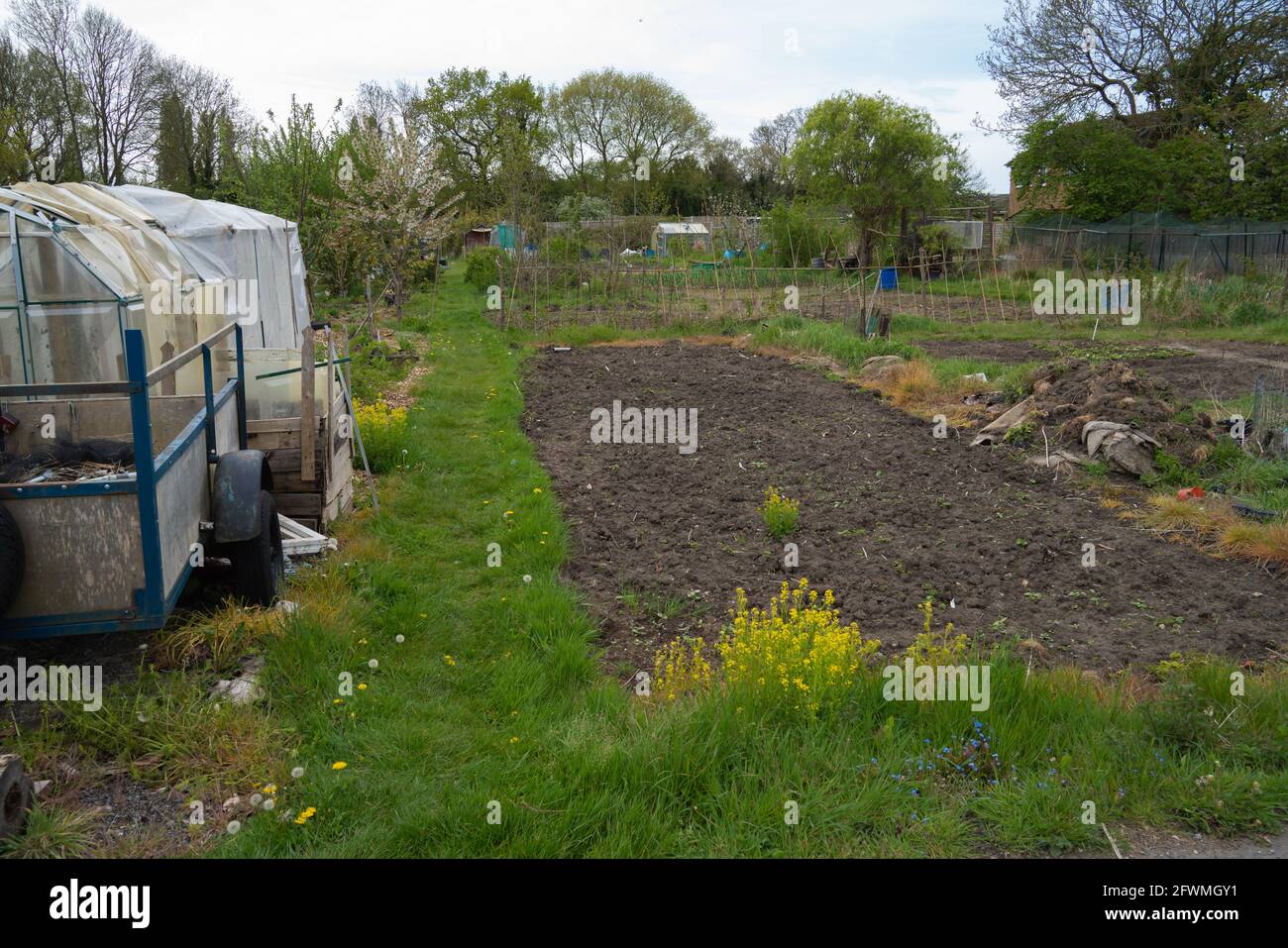 Allotment, vegetable, patch, compost heap, cabbage patch, planning