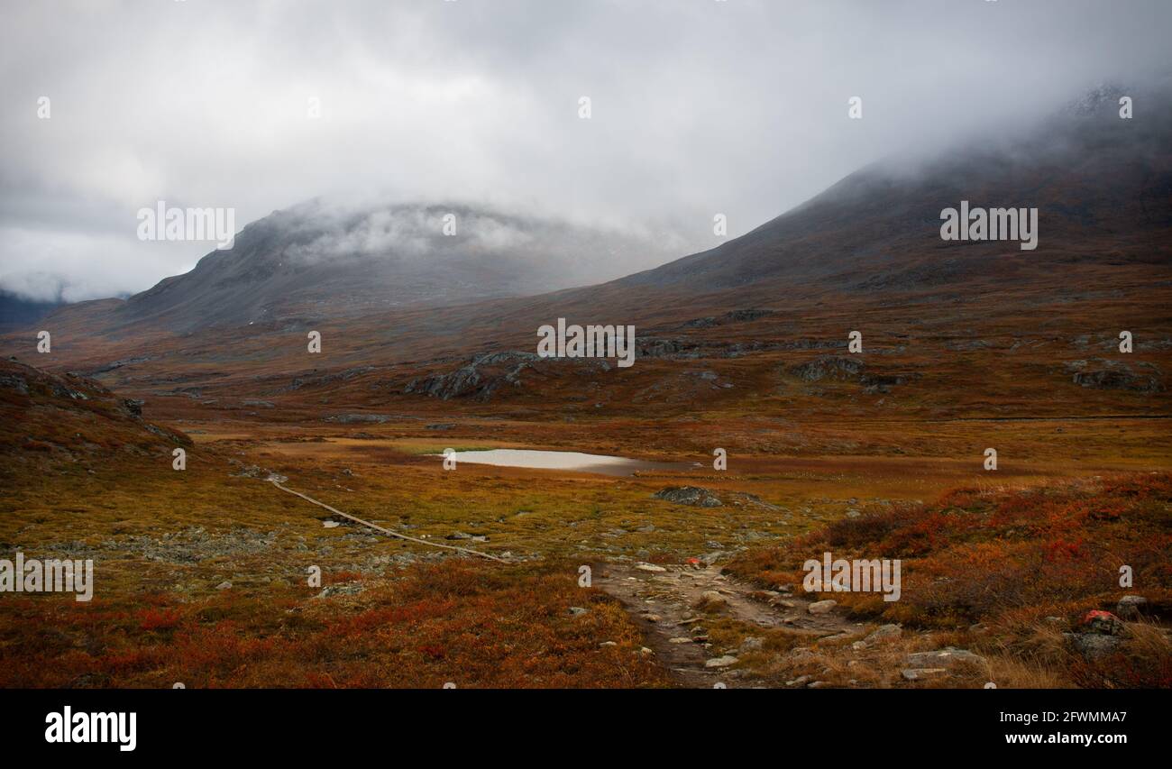 A rainy morning at Kungsleden (king's) trail, between Alesjaure and Tjaktja, September, Lapland, Sweden Stock Photo