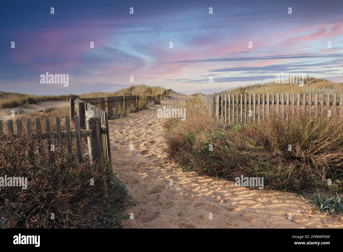 Path to the beach through the dunes at the sunset Stock Photo