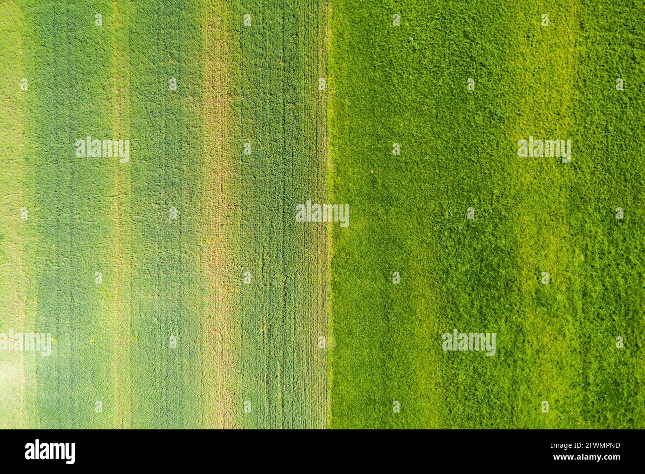 Aerial view on a field with green grass and few trees along a ro Stock ...