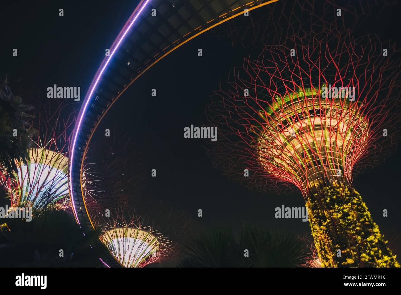 Low angle of the Gardens by the Bay and OCBC Skyway during night time show in Singapore. Stock Photo