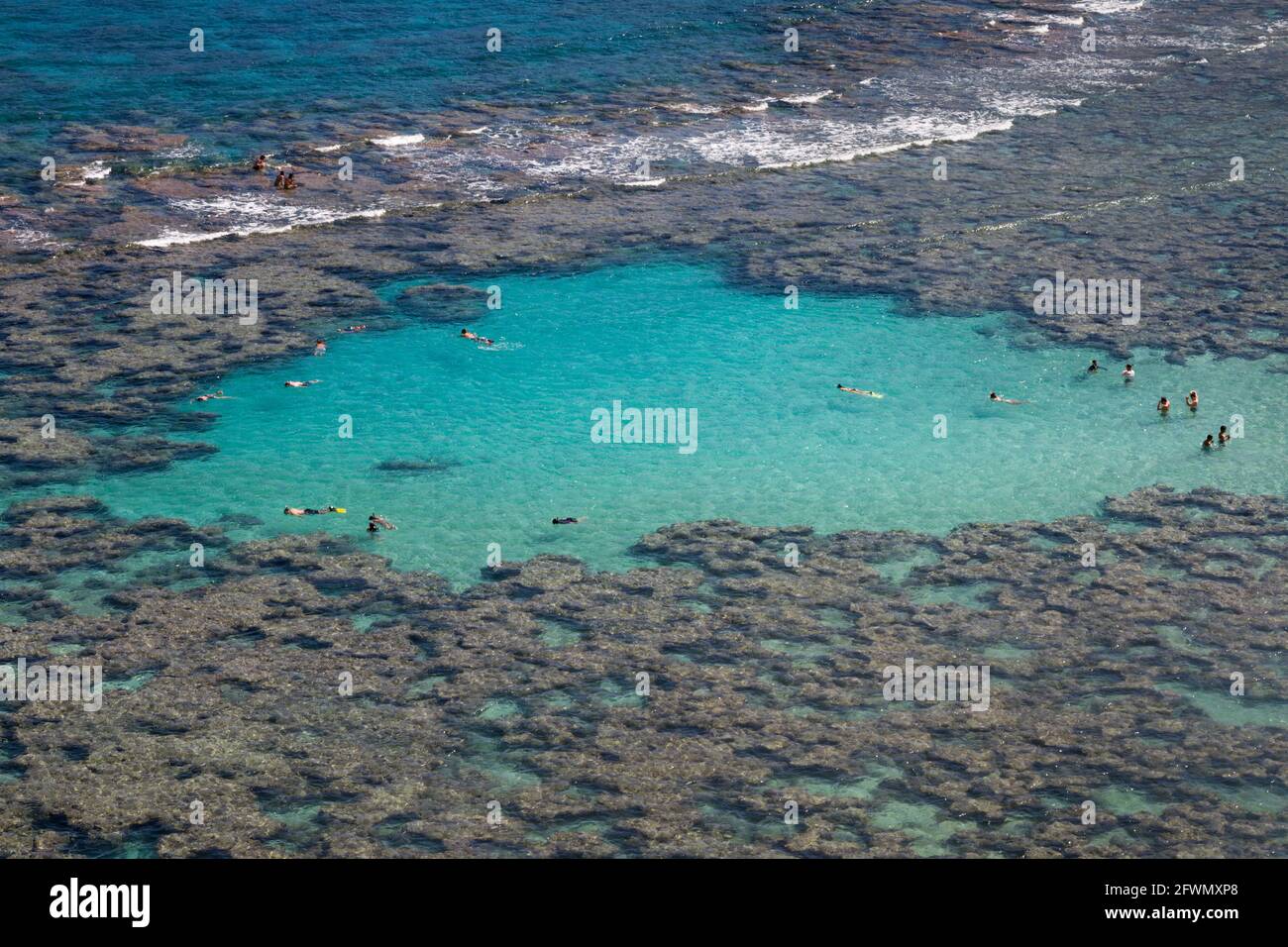 Snorkelers in shallow blue water explore the reef at Hanauma Bay Nature Preserve on Oahu island
