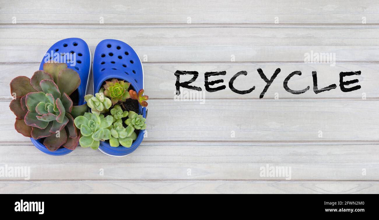 Recycled childrens shoes used a plant pots for succulent plants, recycle text. Reuse, recycle reduce waste. Stock Photo