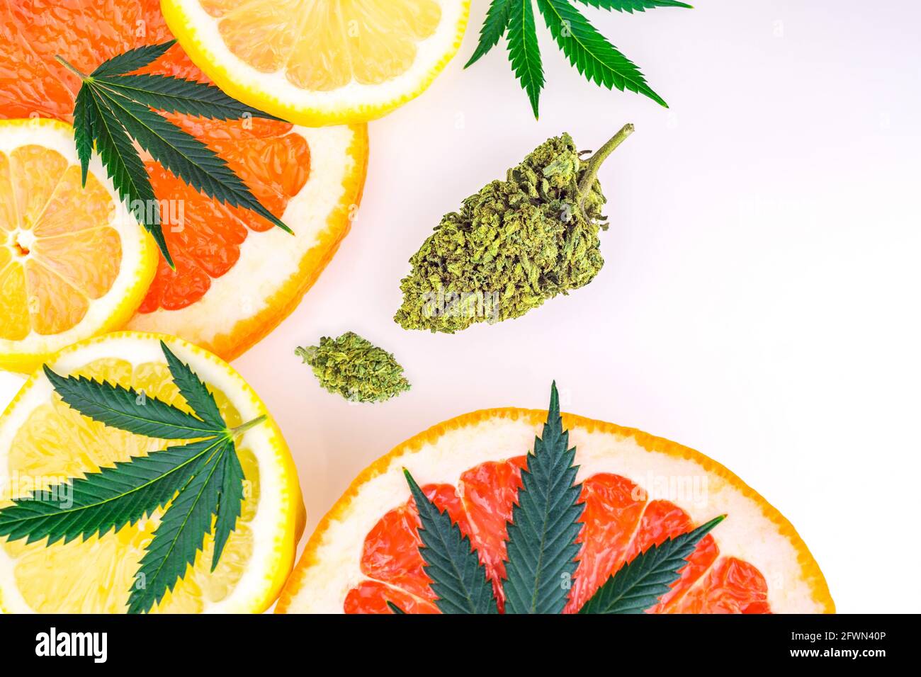 Cannabis terpenes concept with Marijuana flower bud lemons grapefruit and leafs Stock Photo