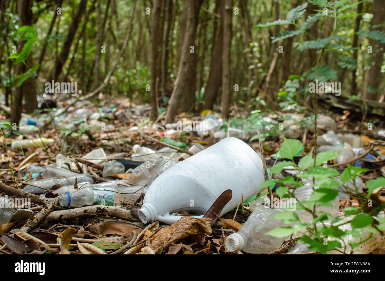 Massive plastic pollution in the mangrove swamp of Panama City Stock Photo